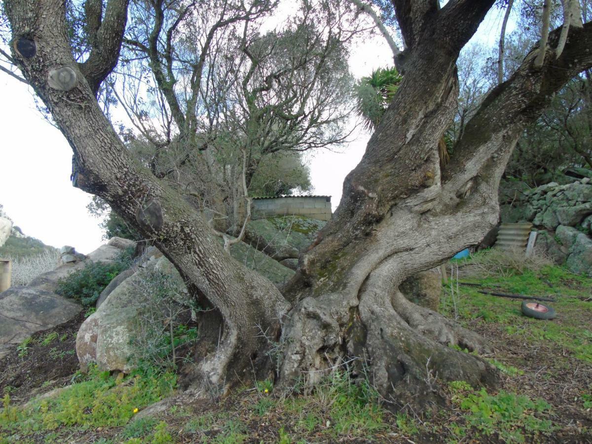 Vila Casa Eleonora Santa Teresa Gallura Exteriér fotografie