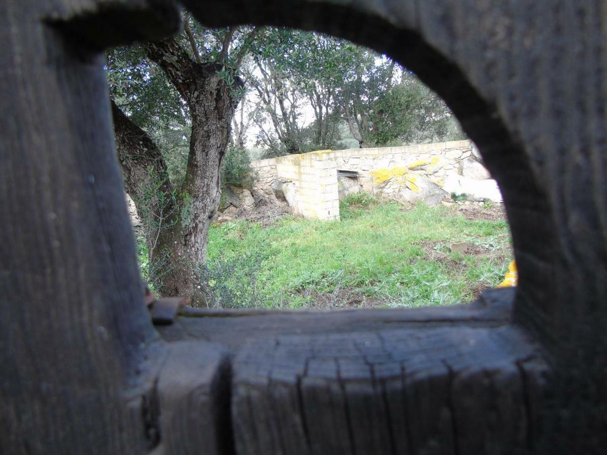 Vila Casa Eleonora Santa Teresa Gallura Exteriér fotografie