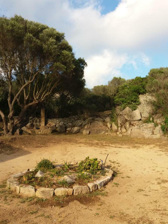 Vila Casa Eleonora Santa Teresa Gallura Exteriér fotografie